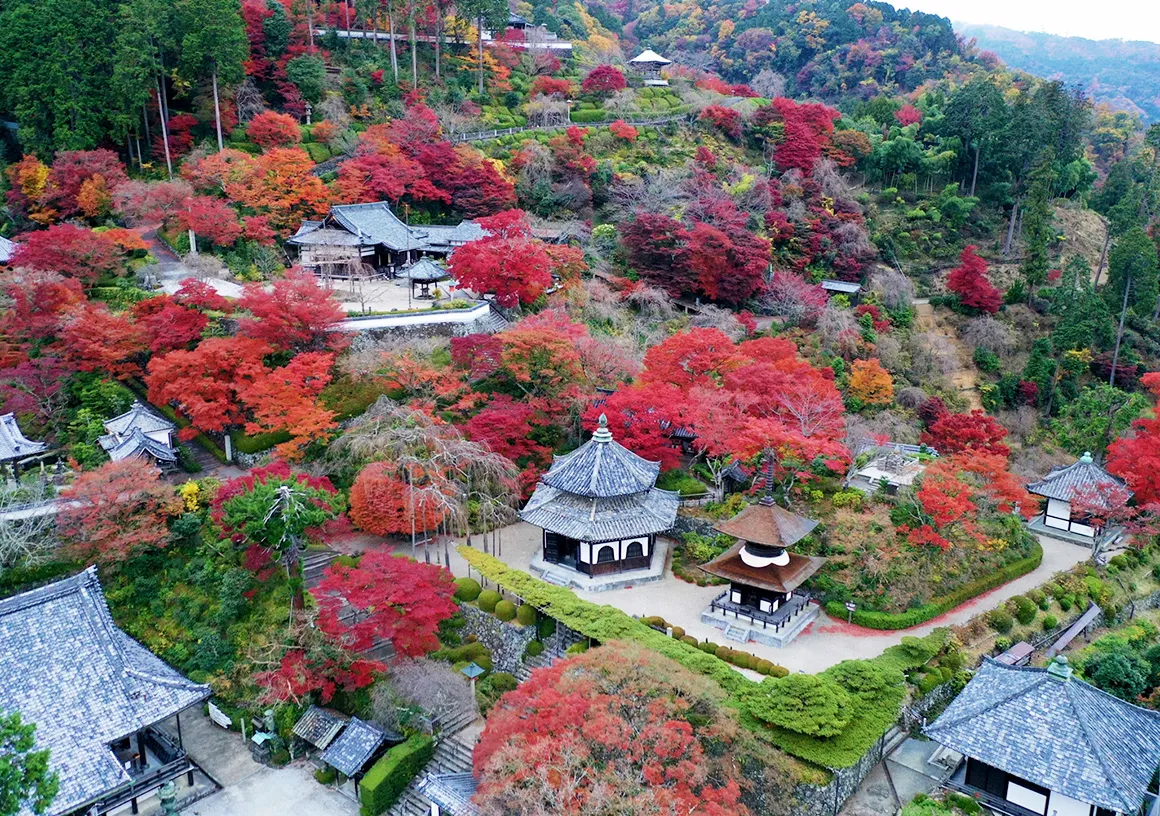 Course05 01 zenhoji04