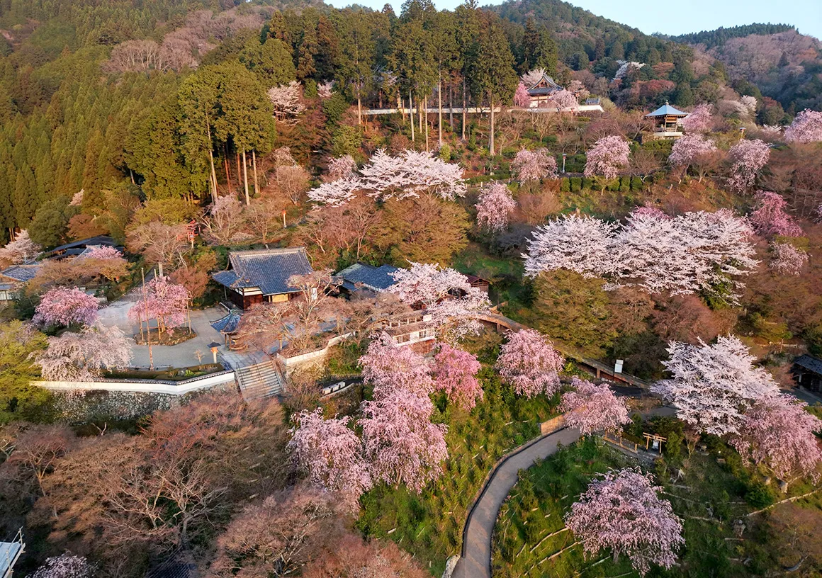 Course05 01 zenhoji05