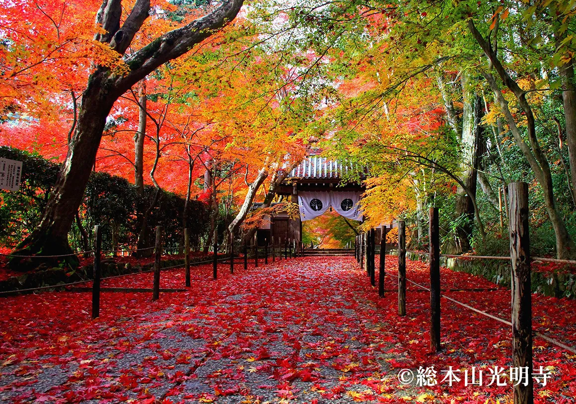 光明寺