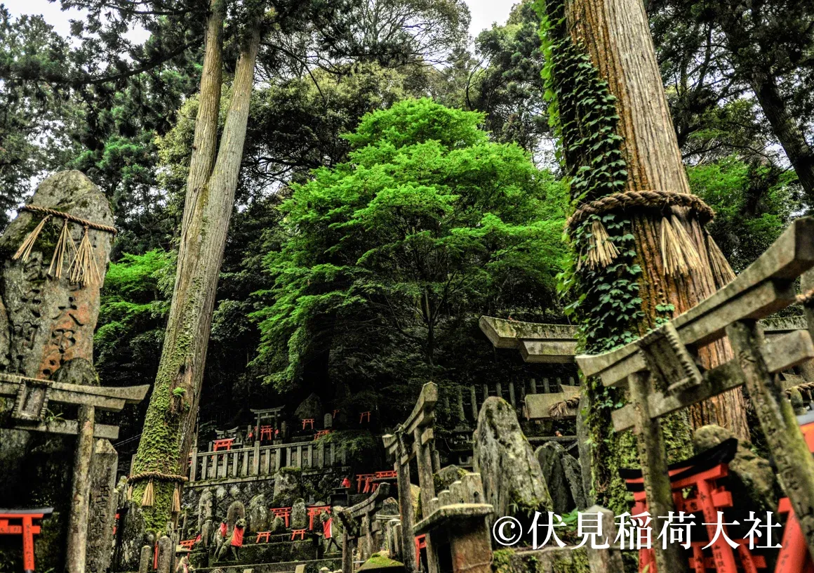 Couse03 01 fushimiinari03 with credit