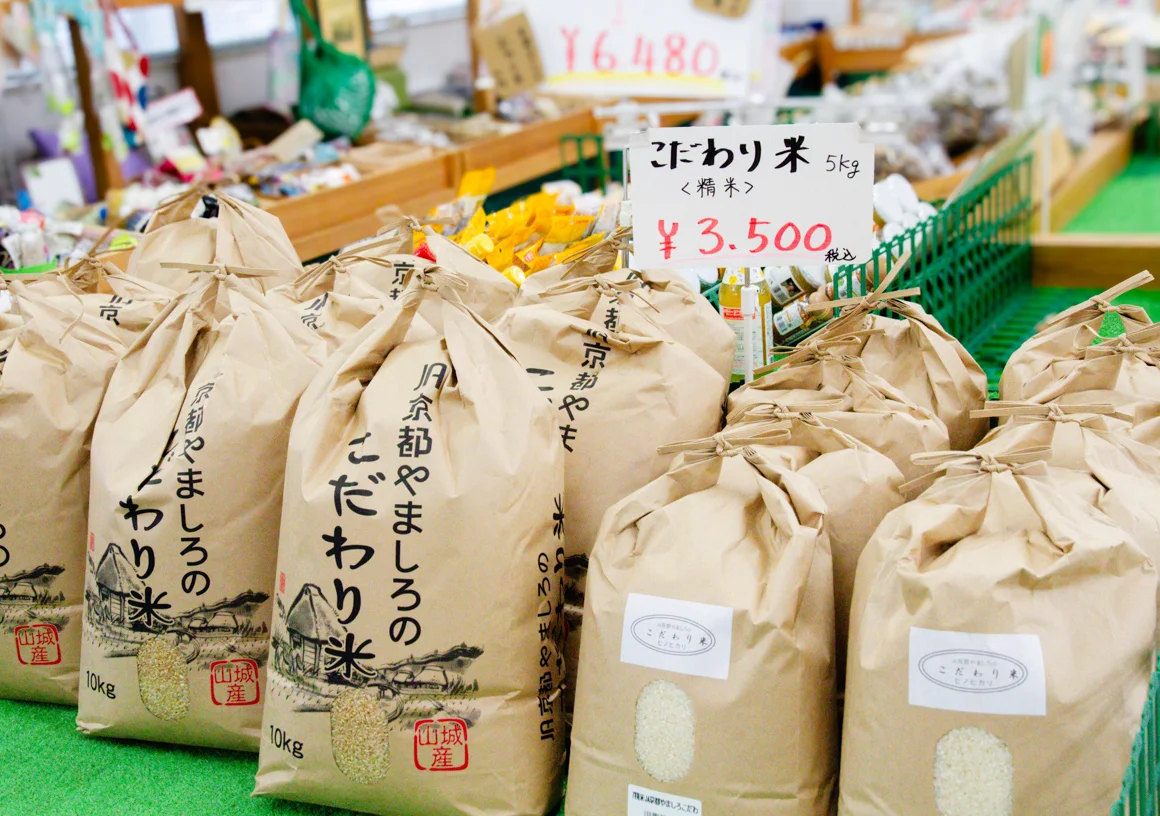 Couse03 05 shikisaikaikan02