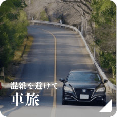 車