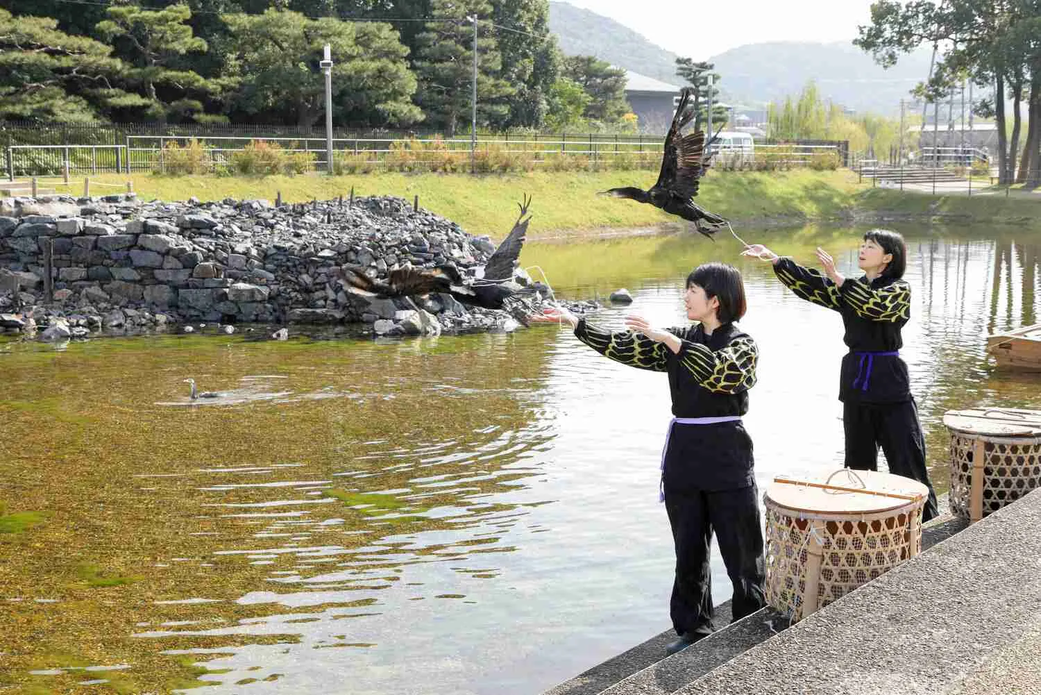 女性鵜匠と放ち鵜飼