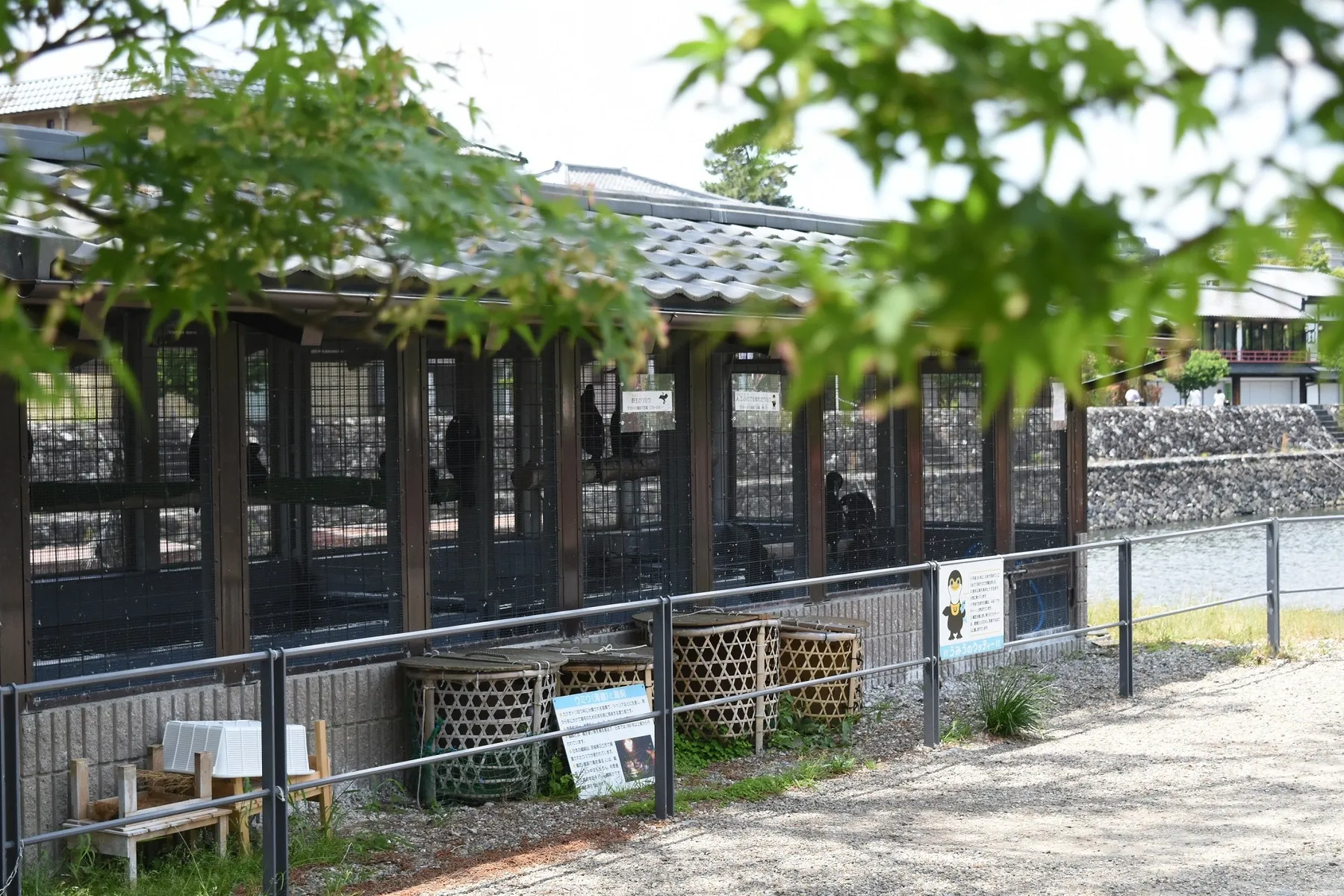 うってぃーの住まい